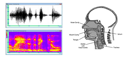 Speech Processing