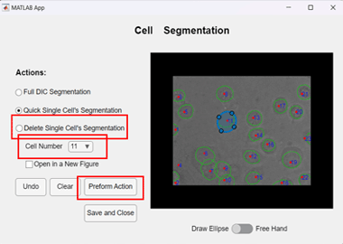 Picture for Morphology Recognition for Gel Cells Using DIC Images