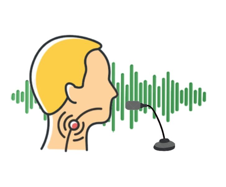 Picture for Voice Disorder Detection via Deep Learning