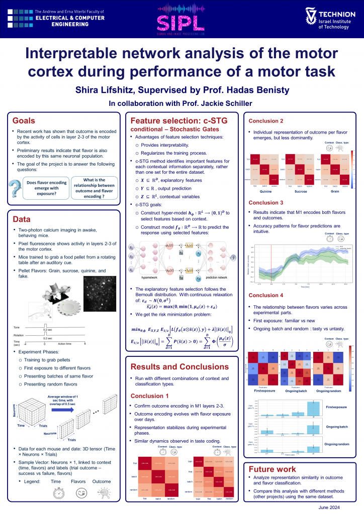 Poster for Interpretable network analysis of the motor cortex during performance of a motor task